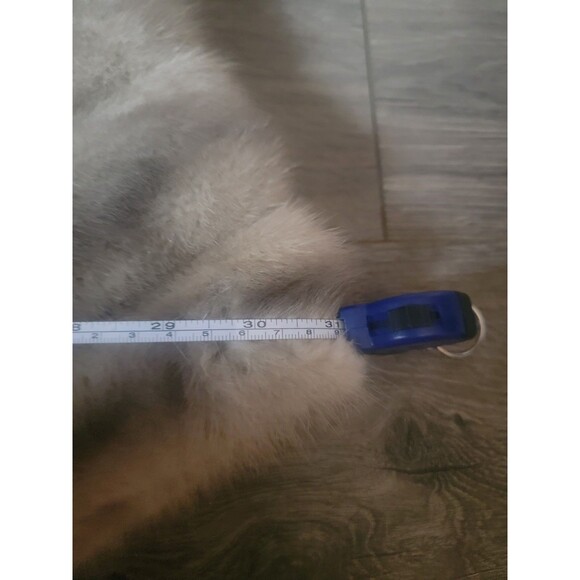 Vintage 50’s Fur Mink  Cape Stole Silver Gray - Picture 6 of 9